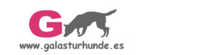 Galasturhunde logo web
