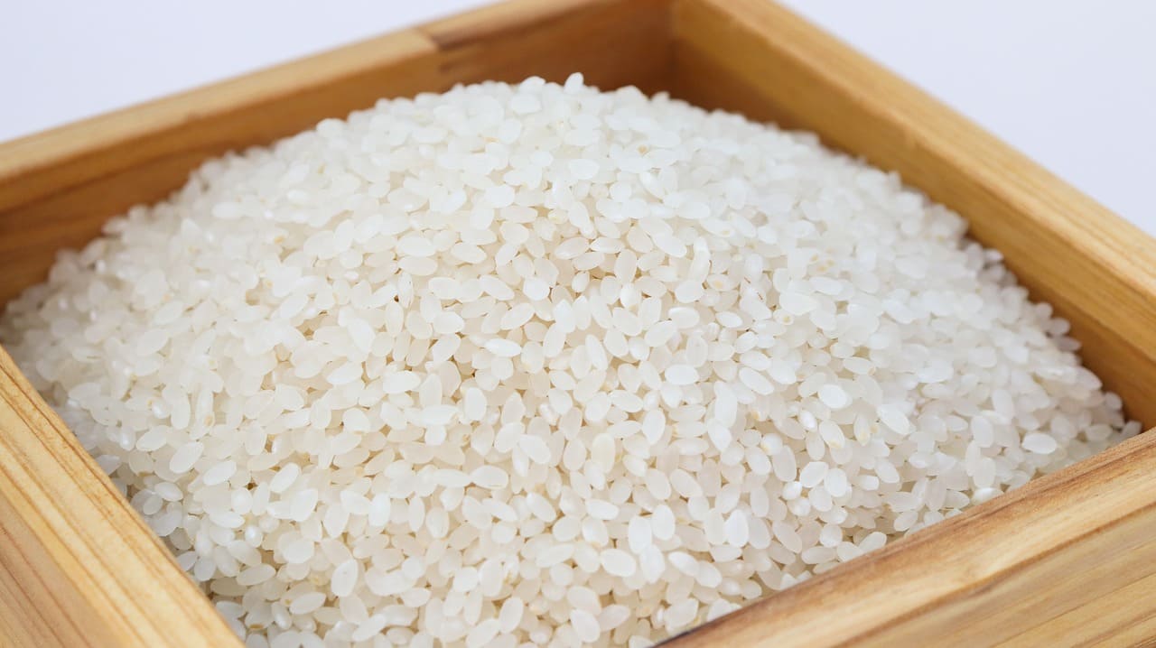 arroz para perros