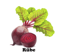 Remolacha Organic Hunde