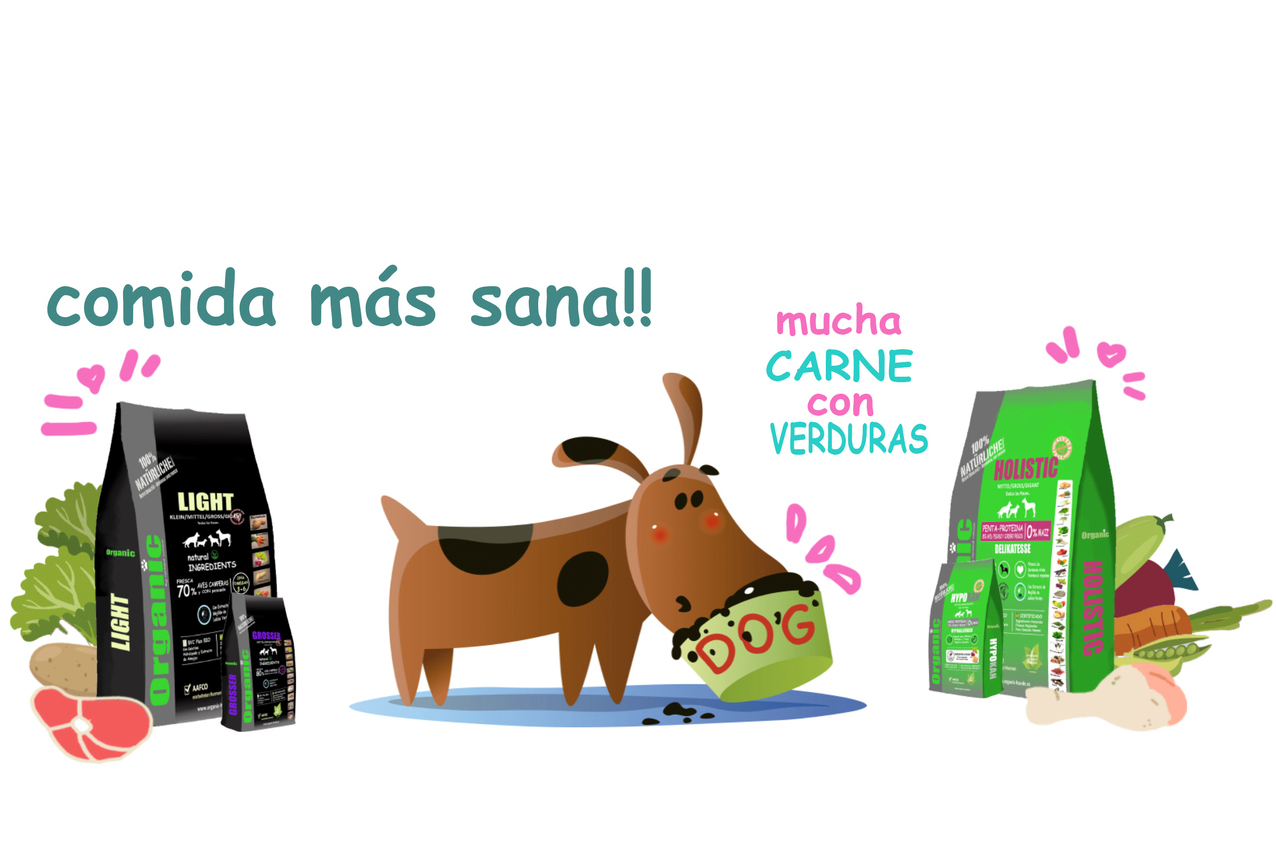 Organic Hunde Comida perros sana