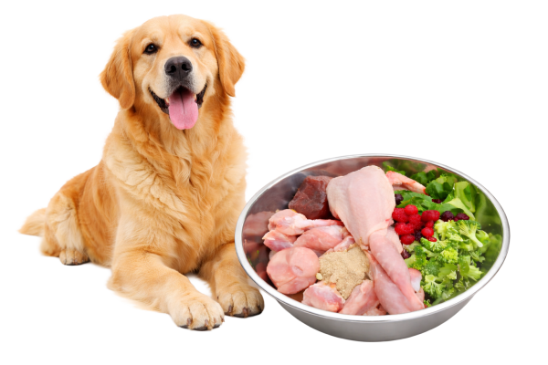 Comida natural para perros Organic Hunde