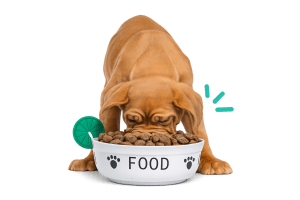 Hardy comiendo Hypokan