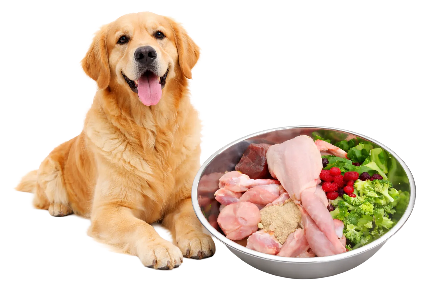 Comida natural para perros Organic Hunde